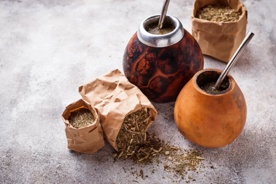co to jest yerba mate